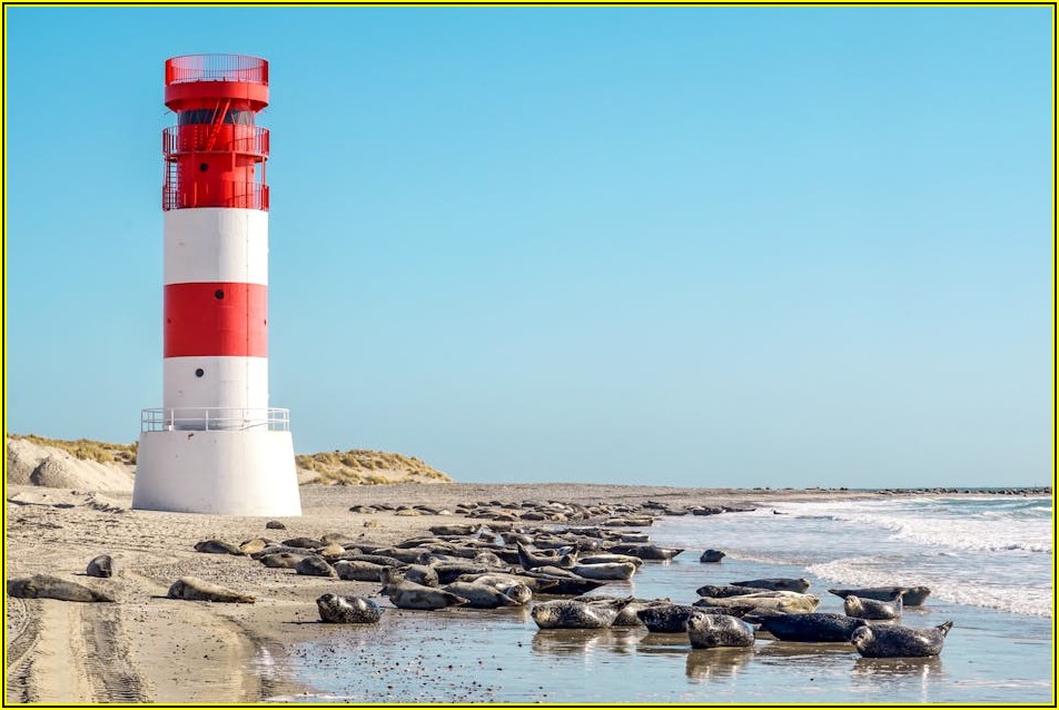 목도장, 특별한 의미를 부여하는 선물 아이디어