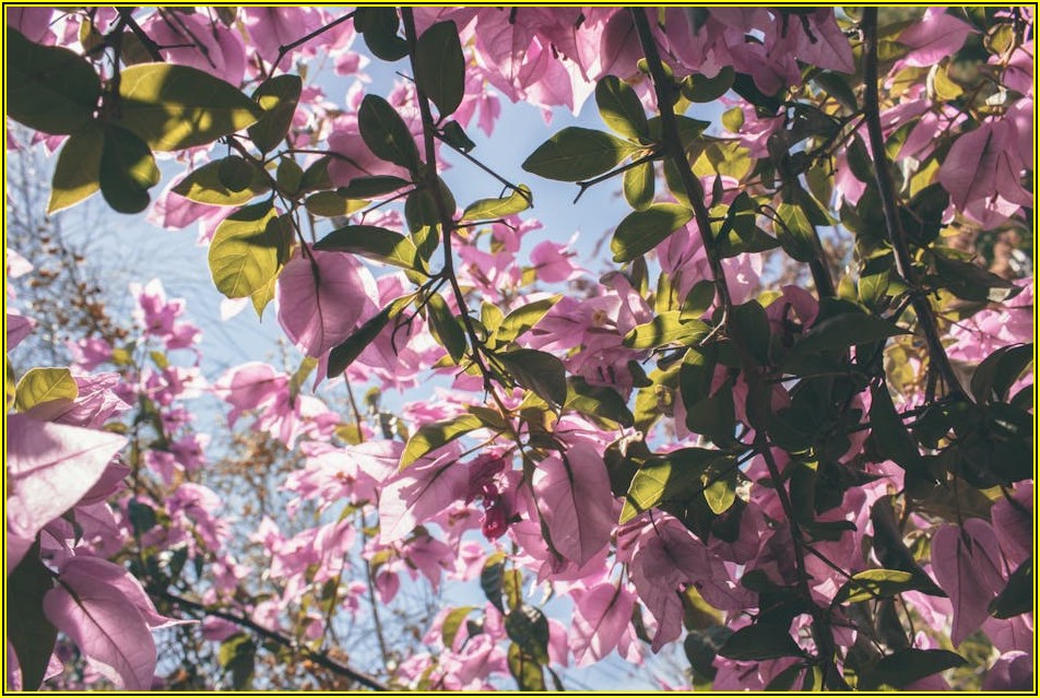 연구개발전담부서, 설립 요건부터 절차까지 완벽 가이드