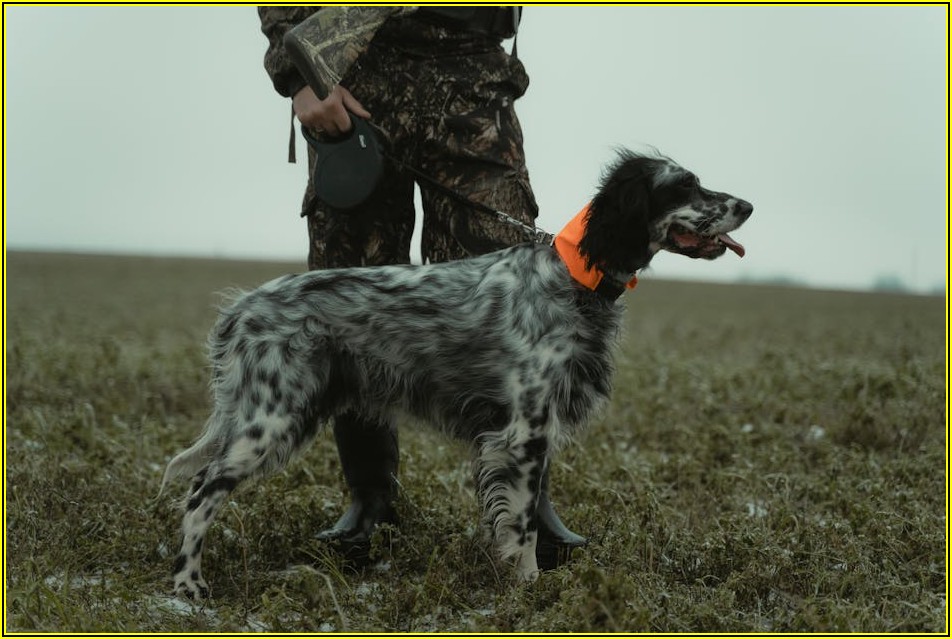 실리콘건 노즐, 제대로 알고 쓰면 작업이 즐겁다