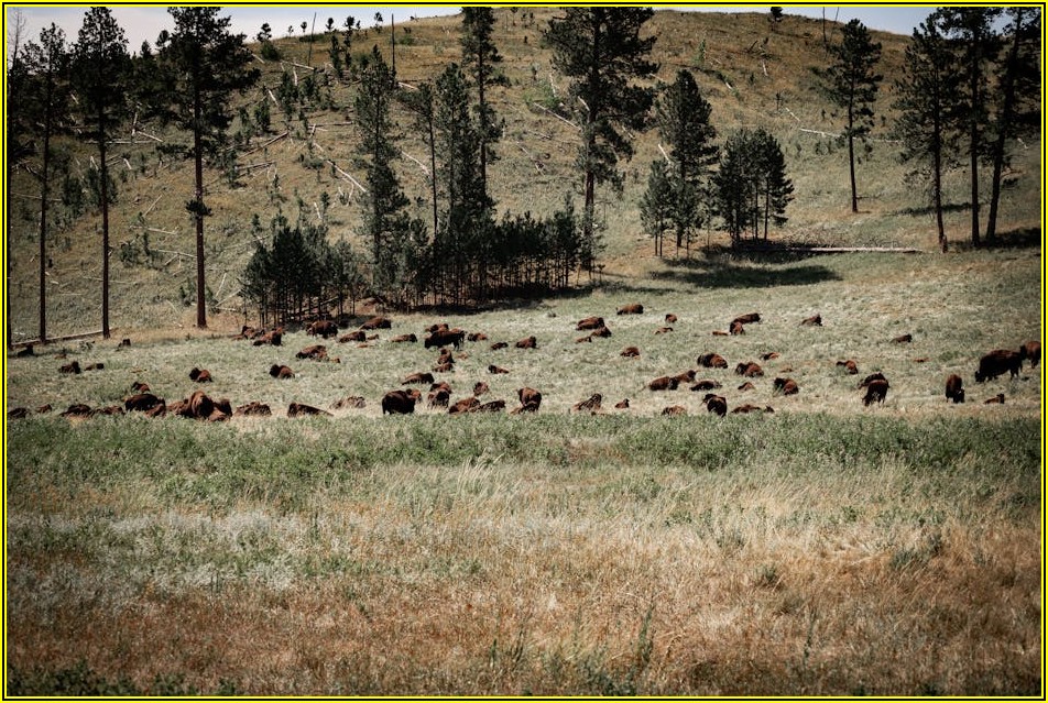 에어컨 효율 극대화, 실외기 바람막이 설치 가이드