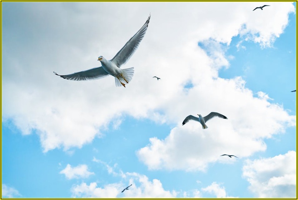 에어컨 이사? 해체 설치 전문가 활용법