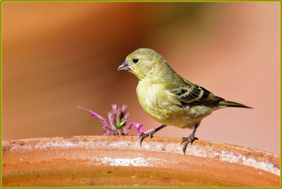 탄원서, 이렇게 쓰면 통한다! 성공 사례 분석