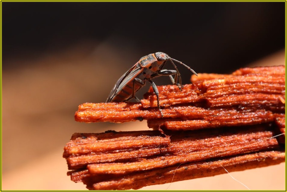 안산 스몰 웨딩, 예산 고민 끝! 맞춤 정보 총정리