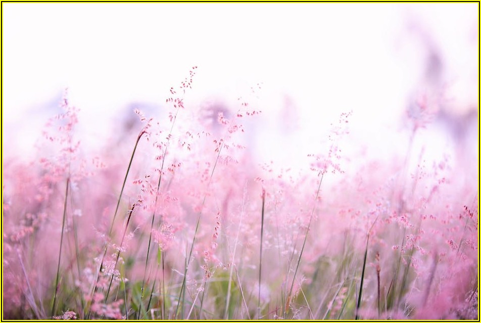 합리적인 예식 비용! 아름다운 컨벤션 활용법