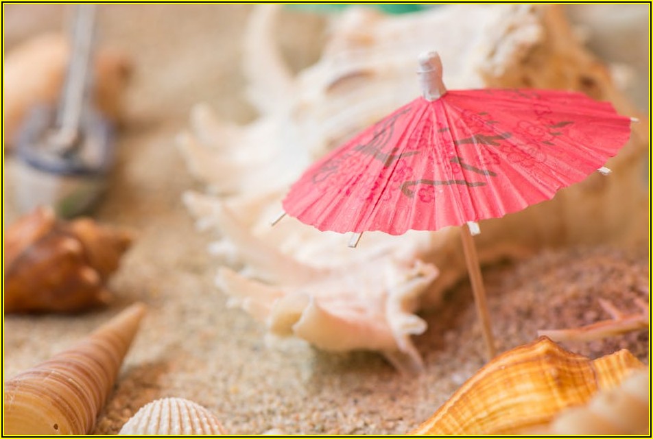 우산 케이스 소재, 무엇이 좋을까? 성능 비교 가이드