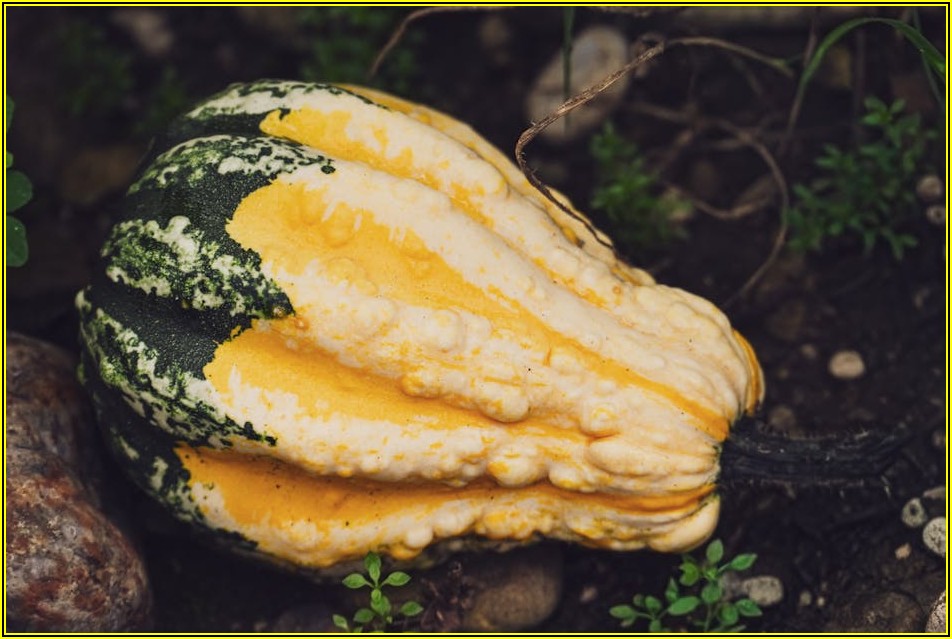 매출 상승 견인! 성공 푸드코트 벤치마킹 A to Z