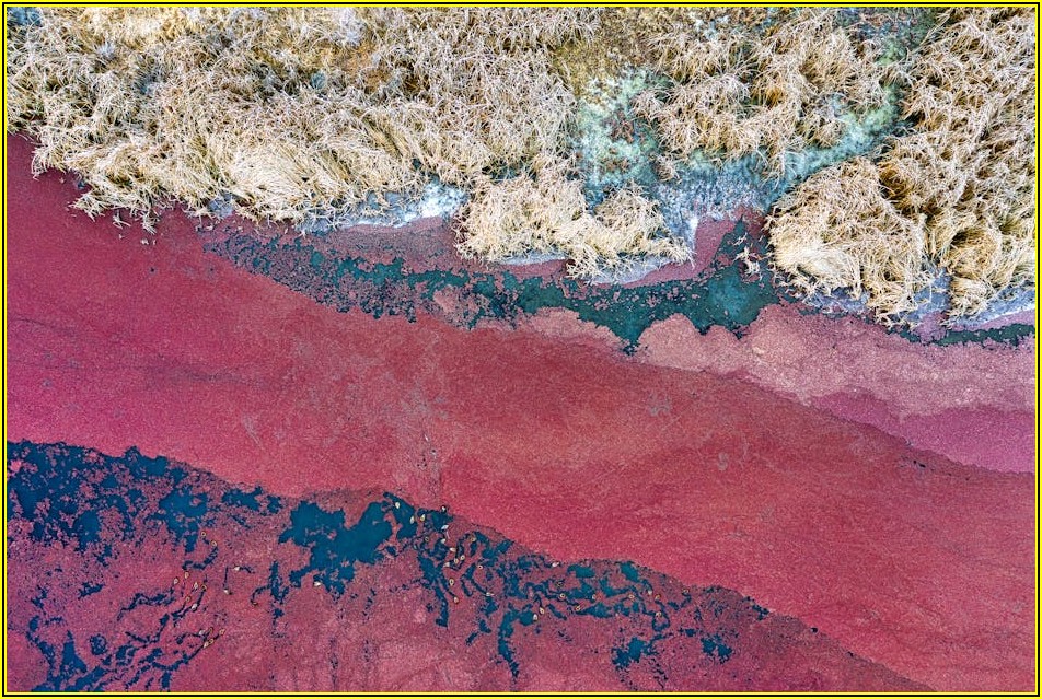 땅 위를 꿰뚫는 눈, 원격 감지 데이터 분석의 힘