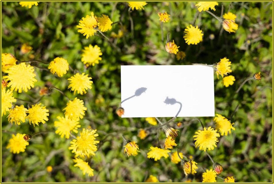 오래된 통장 케이스, 새것처럼 바꾸는 관리 비법