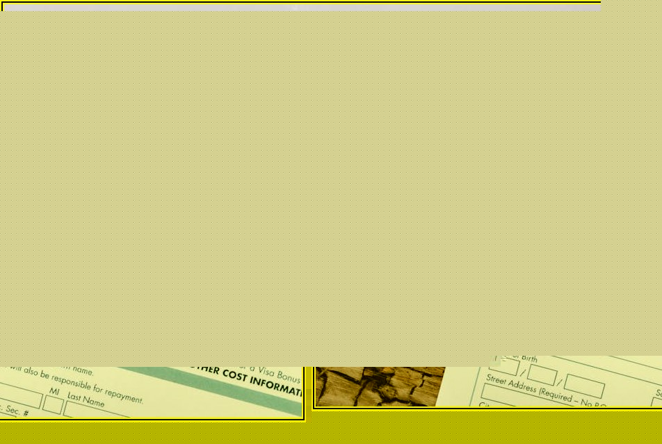 정책자금 신청, 막막함 대신 자신감! 합격 전략