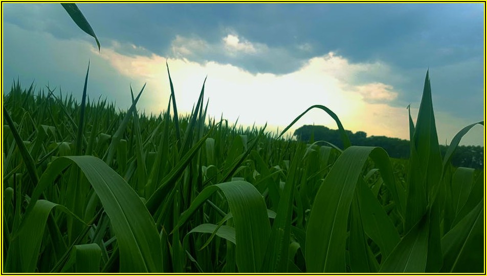 토지 보상금, 산정 기준부터 절차까지 꼼꼼하게