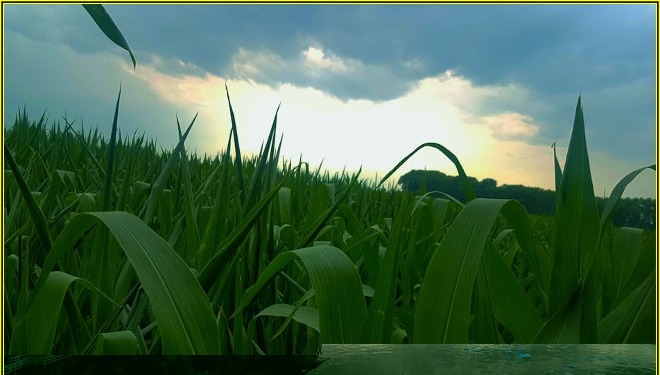 토지 보상금, 산정 기준부터 절차까지 꼼꼼하게