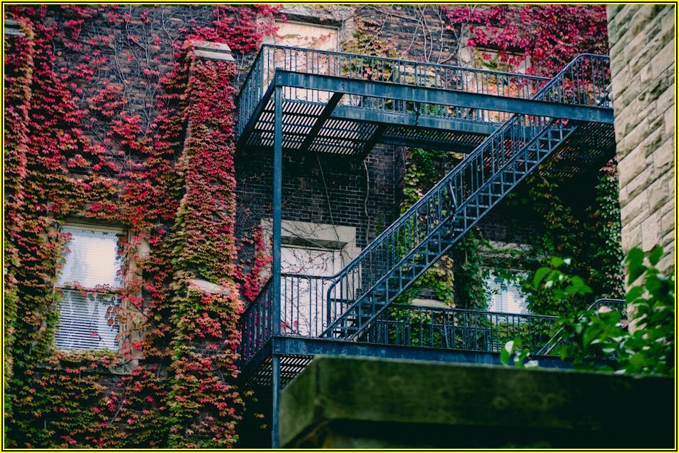 공간 활용의 마법, 나에게 꼭 맞는 철제사물함 찾기