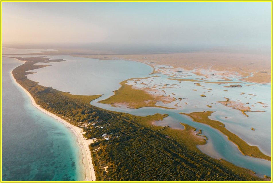 전문가가 알려주는 고압 분사기 건, 오래 쓰는 꿀팁 대방출