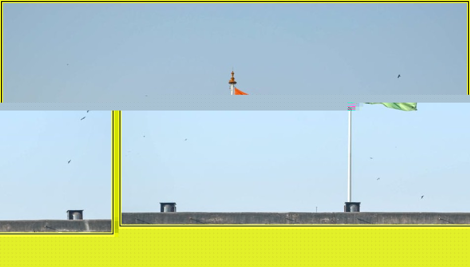 높이 책임지는 게양기, 설치와 사용법 완벽 분석