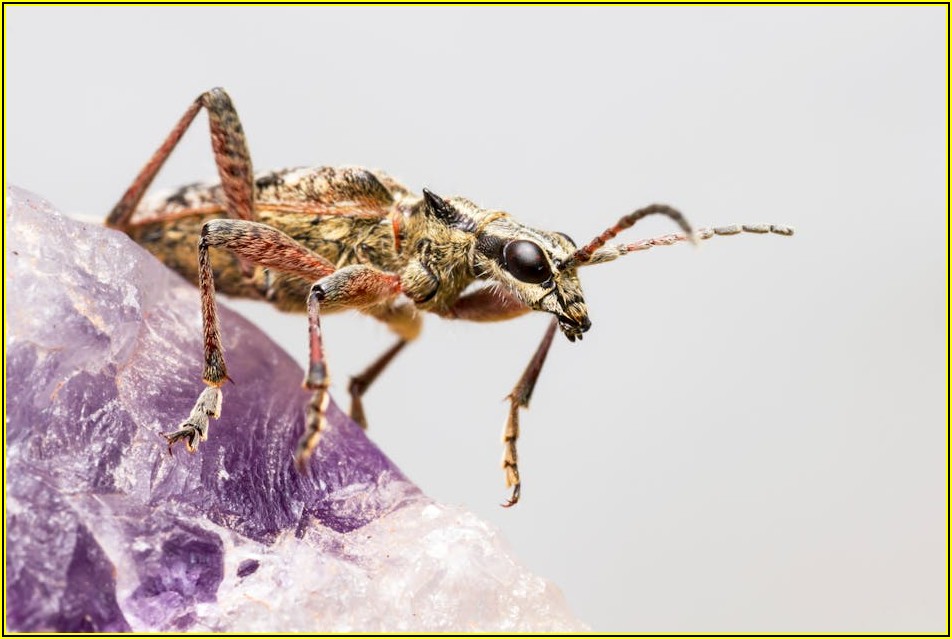 빛나는 이름, 네이미스트가 전하는 작명 전략