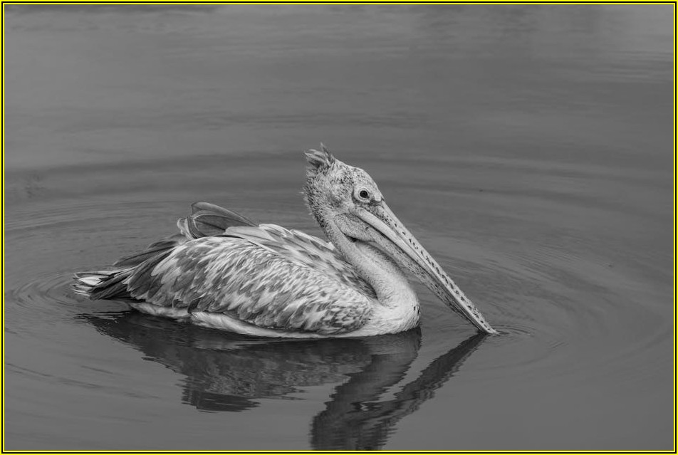 성공적인 빌지패드 구매를 위한 필수 체크리스트