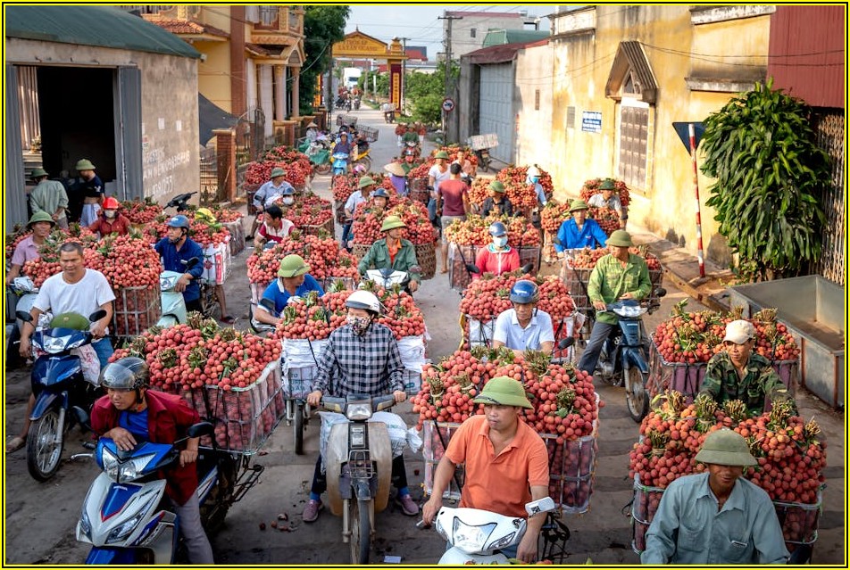 합격률 높이기! 2학기 편입, 전형 완벽 분석 가이드