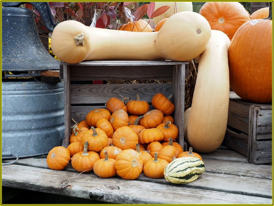 ESTA 신청 서류, 헷갈림 없이 한번에 준비하기