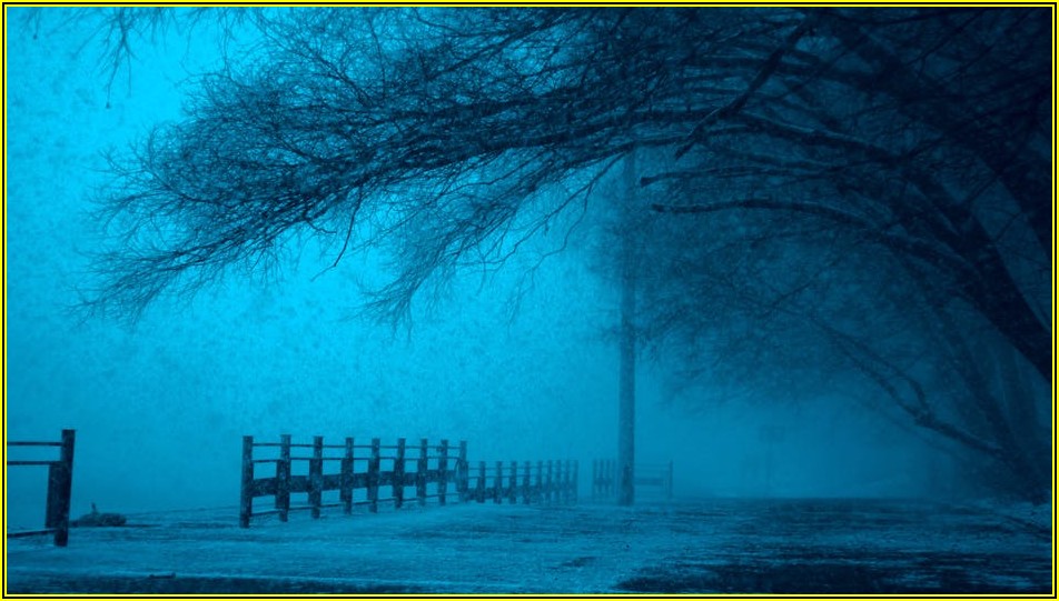 보냉제 제대로 쓰면 2배! 일회용 아이스박스 활용법