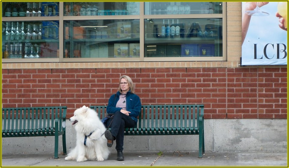 페트병 가격, 디자인별 완벽 가이드