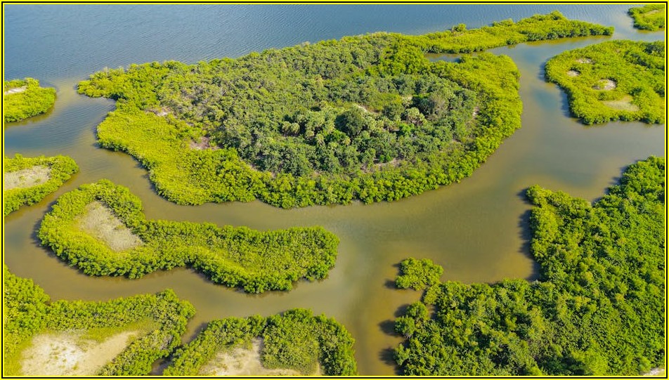 미국 여권 발급부터 갱신까지: 필요한 모든 정보 총정리