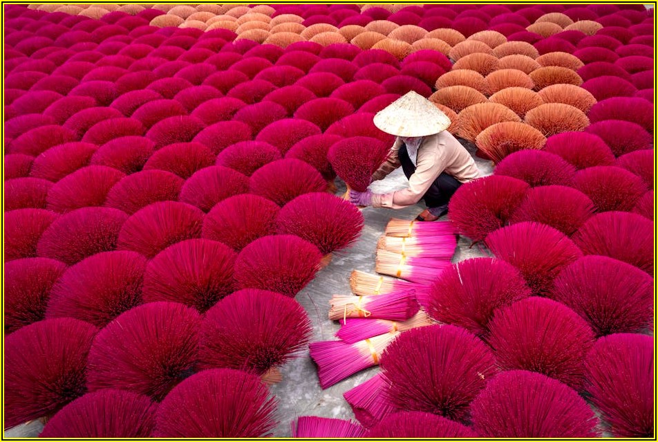 집에서 즐기는 젤라또: 역사부터 만드는 비법까지