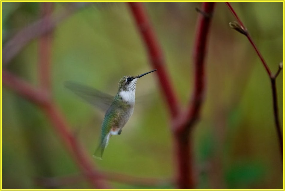 퀵 서비스 비용 줄이는 확실한 방법, 이것만 알면 끝!