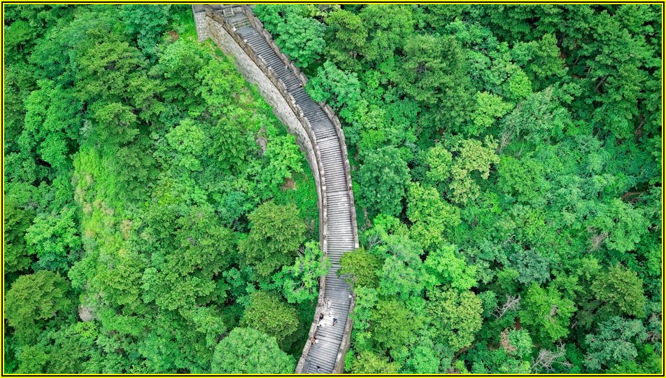 중국 펀드 최신 시장 분석: 투자 기회와 전망을 살펴보세요