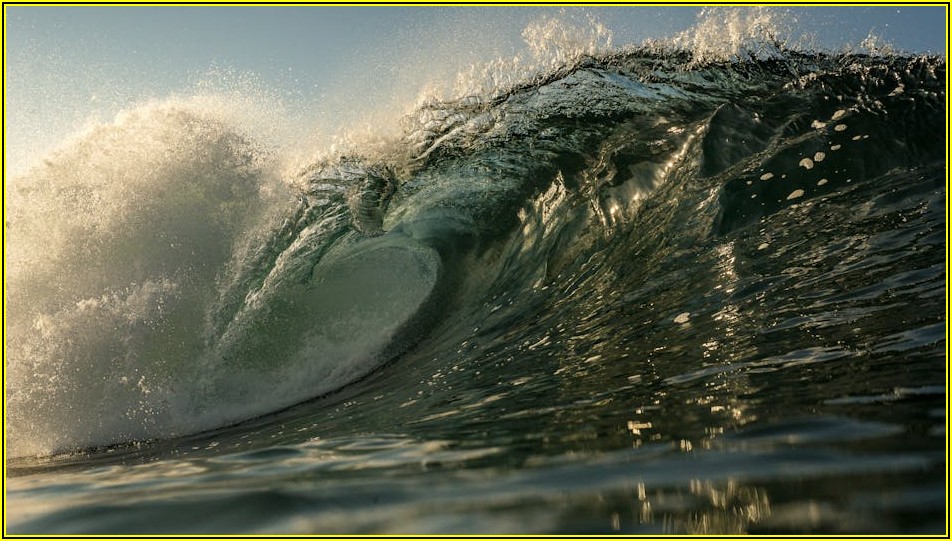 액상 교반기, 최적 성능 위한 필수 유지보수 가이드