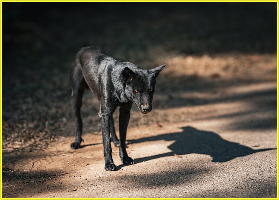 블로그, 디자인에 필요한 무료 이미지, 여기 다 있어요!