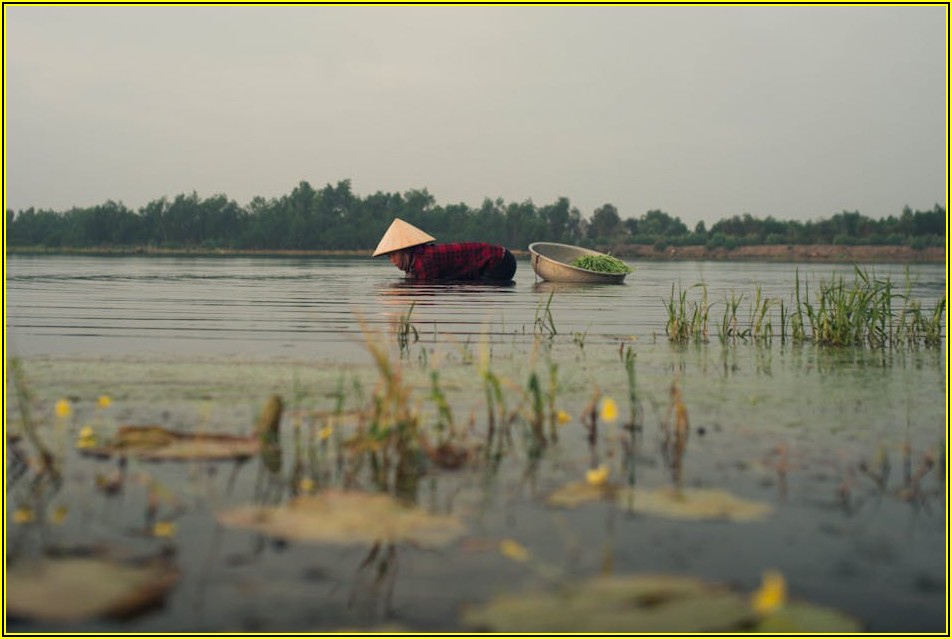 안심하고 즐기는 천안 실내 낚시, 안전 수칙 완벽 가이드
