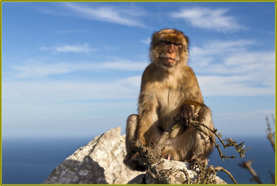 성공적인 해외 인턴십, 다음 커리어 단계 밟기