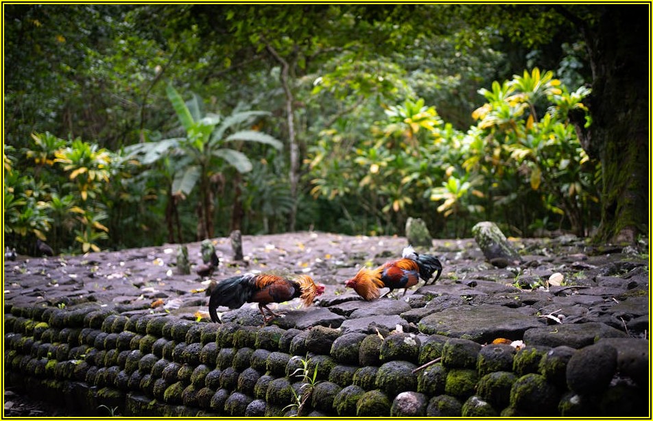 해외 인턴십 성공 후, 꿈의 진로를 현실로 만드는 방법