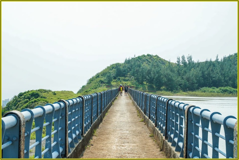 식품 분석의 모든 것, 안전한 식탁을 위한 필수 가이드