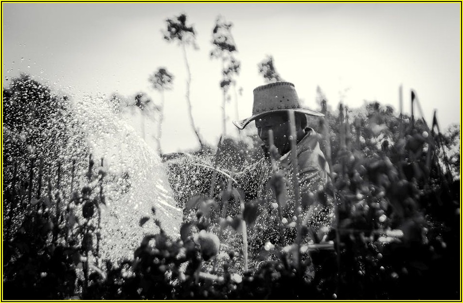 농약 호스, 안전하고 효과적인 농작물 보호법