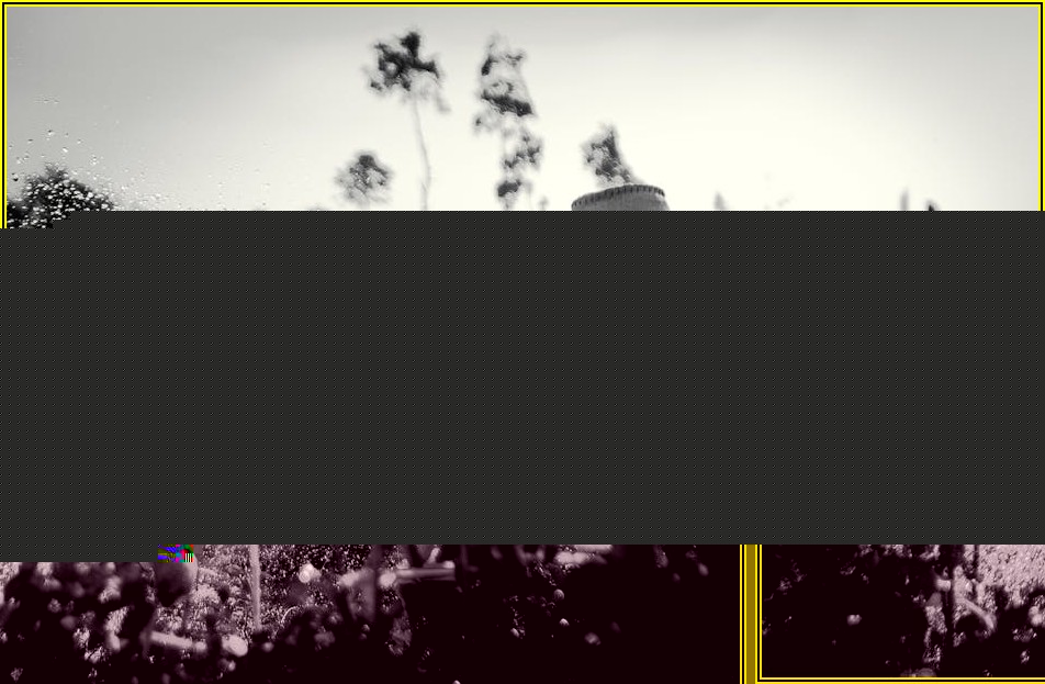 농약 호스, 안전하고 효과적인 농작물 보호법