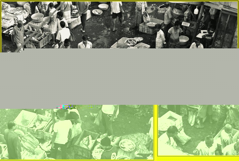 성공적인 치킨 프랜차이즈, 나만의 브랜드 만들기