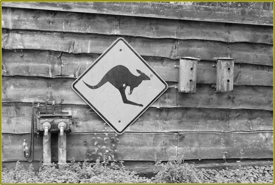 우리 가게 간판, 어떤 재료가 좋을까? 소재별 장단점 비교 분석