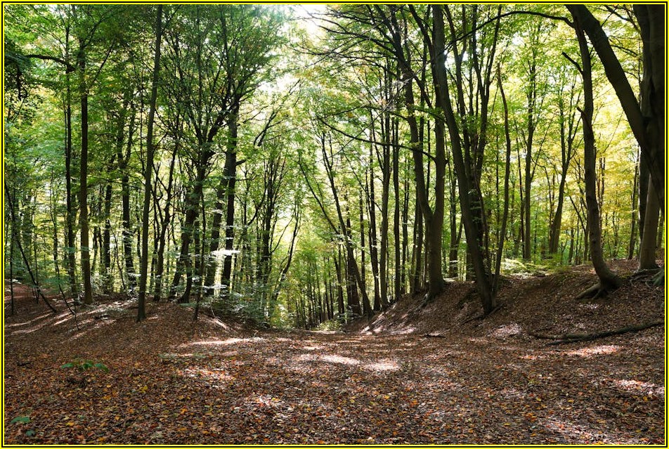 자전거 캐노피, 장점과 단점을 파헤치다