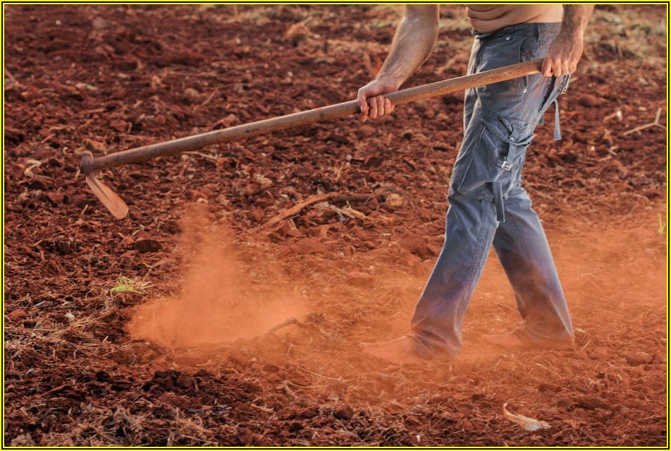 영문 번역기 비교 분석: 숨겨진 기능까지 완벽 가이드
