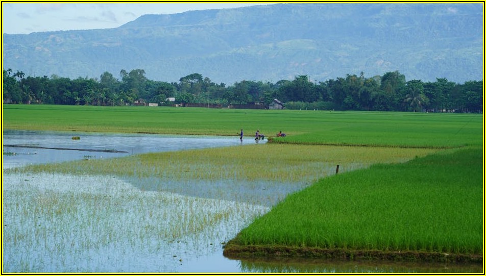 튼튼한 낚시 하드케이스로 장비를 완벽 보호하세요