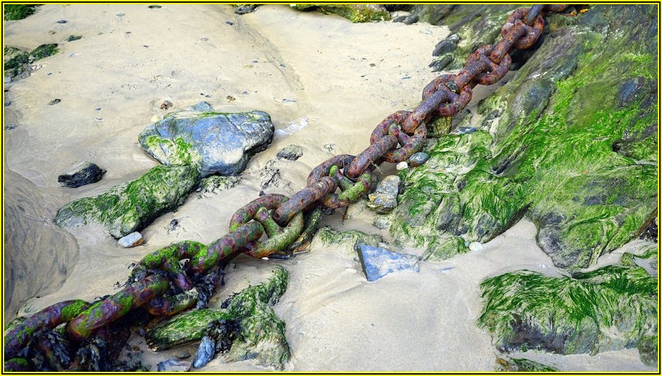 아산화질소 배출 줄이기, 우리 지구를 위한 노력