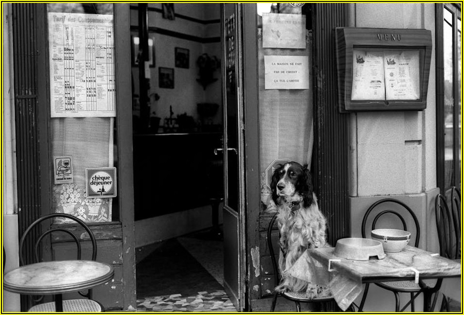 건축 전문가의 드라이비트 선택 가이드: 기능과 심미성을 모두 잡는 법