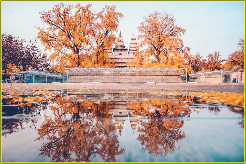 콘텐츠 제작자를 위한 무료 이미지 사용법 A to Z