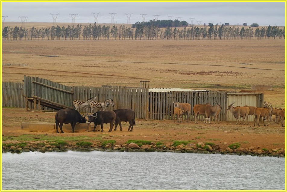 효과적인 미서기창 단열, 우리 집 에너지 효율 높이기