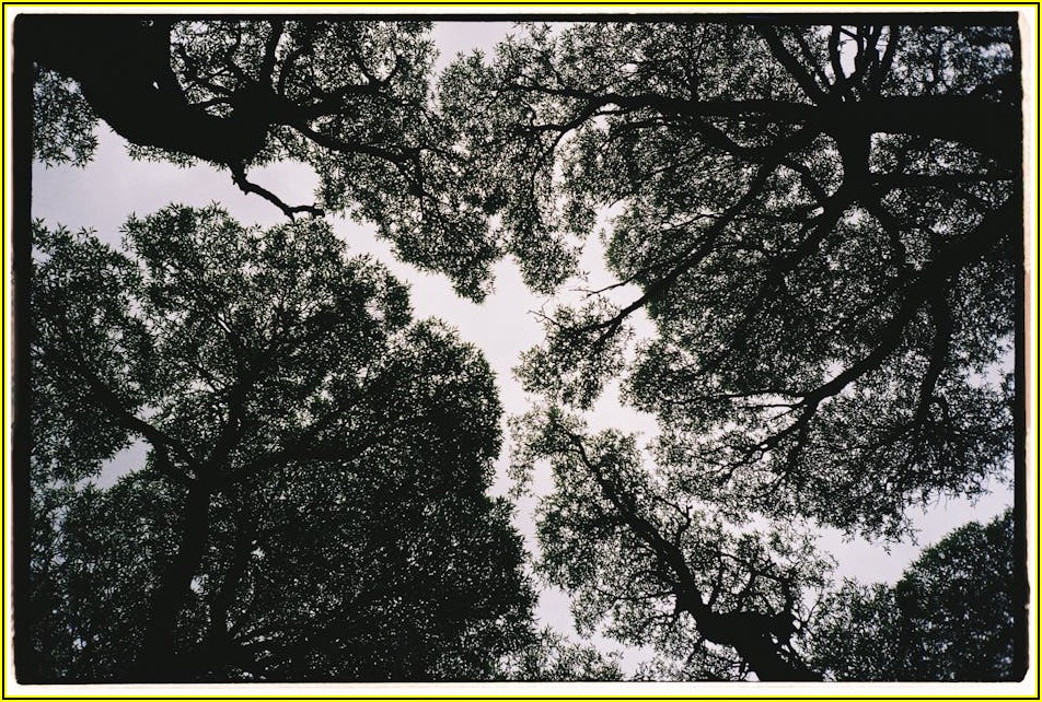 내 집 앞 테라스 완성! 청주 캐노피 셀프 시공 가이드