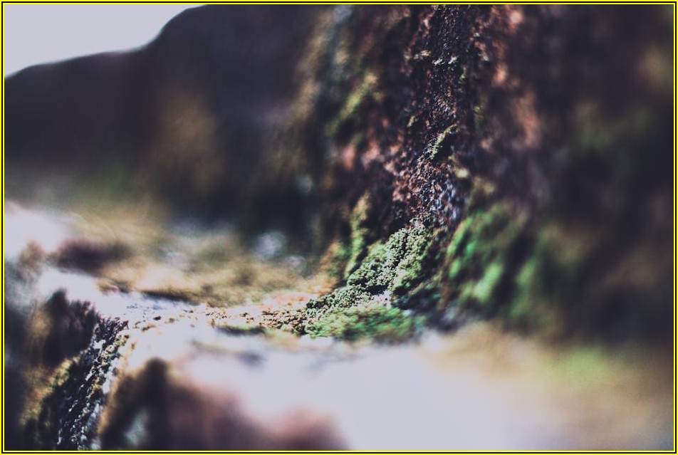 MICR, 놓쳐서는 안 될 최신 보안 기술