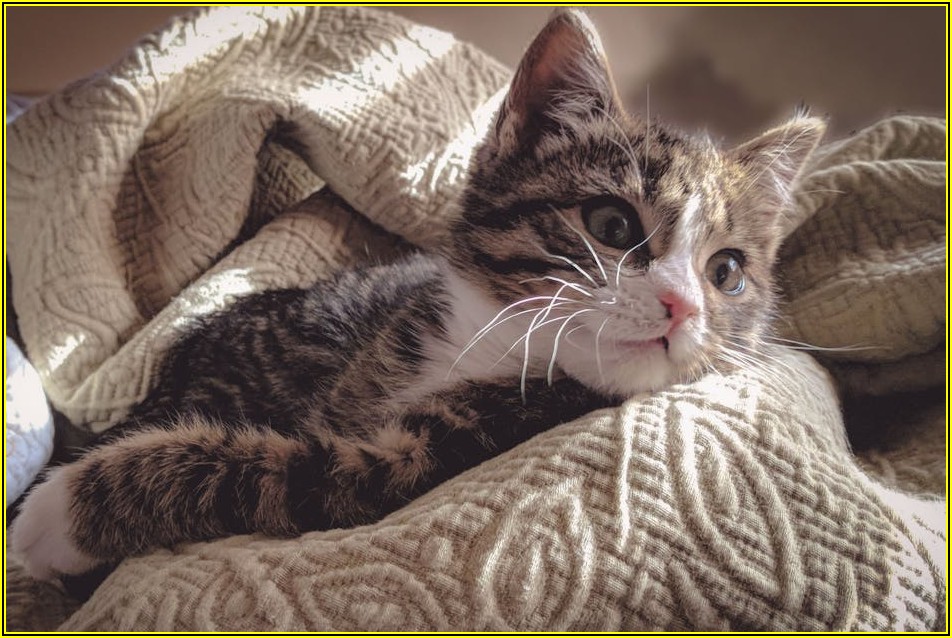 소중한 우리 아이 이름, 후회 없이 짓는 방법 A to Z