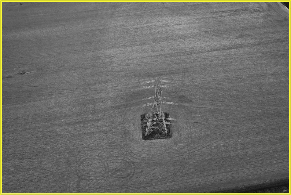 통신 분야 핵심 자격증, 시험 완벽 대비하기