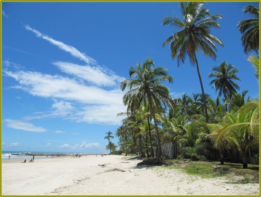 국경 없는 커리어: 해외 취업 성공을 위한 실전 전략